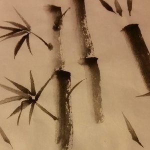 Meet your Posher, Carol